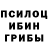 Галлюциногенные грибы Psilocybine cubensis Chris Crim