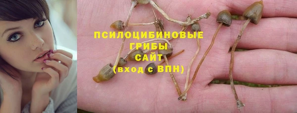 спиды Верея