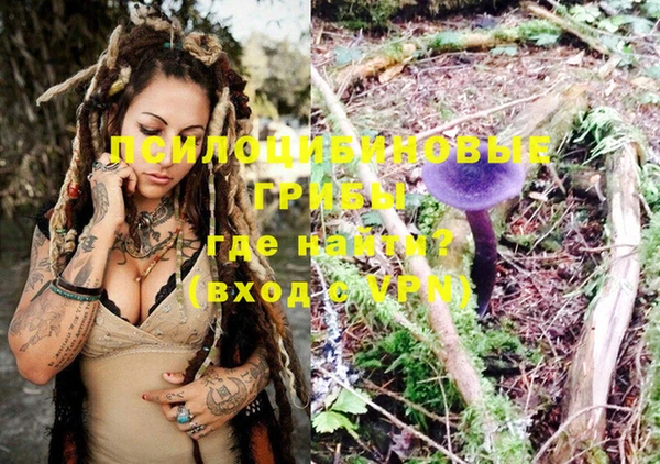 соль ск Верхний Тагил