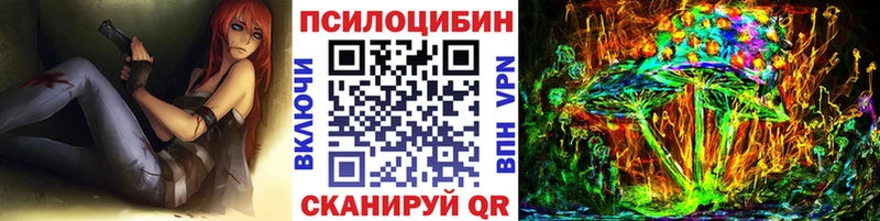 Псилоцибиновые грибы Psilocybe  купить наркотики цена  Вышний Волочёк 